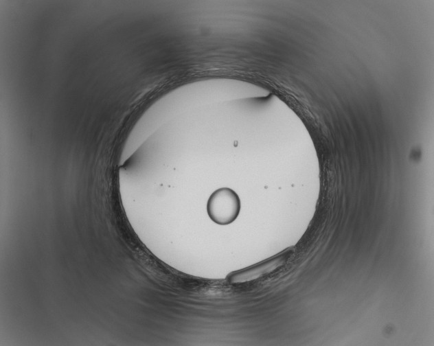 X0000116850308201001191646