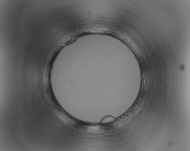 X0000116850309201001191646