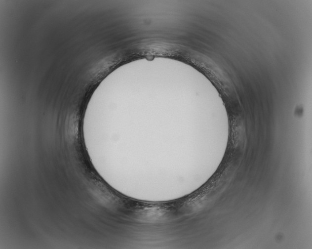 X0000116850310201001191646