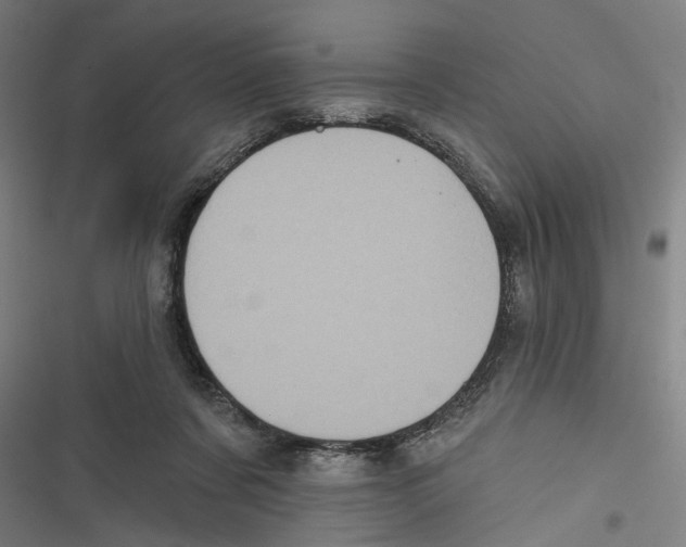 X0000116850311201001191646