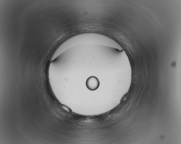 X0000116850312201001191646