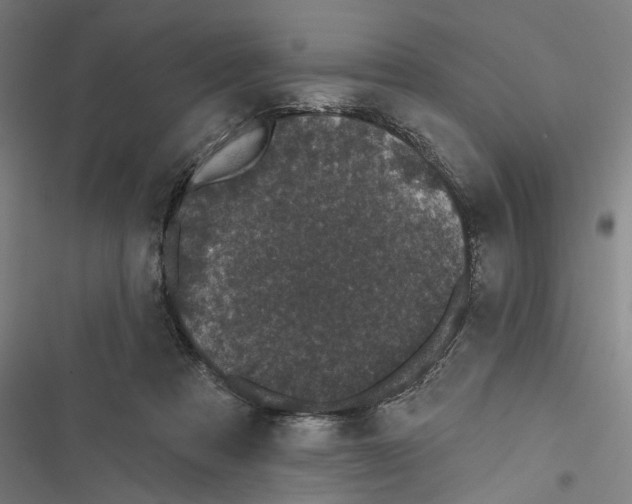 X0000116850313201001191646