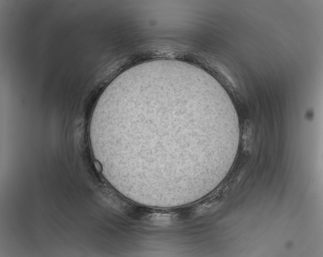 X0000116850314201001191646