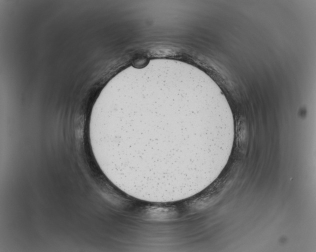 X0000116850315201001191646