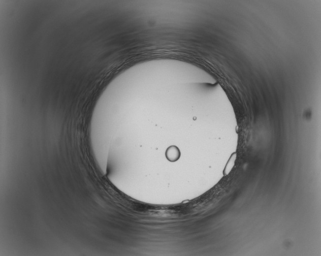 X0000116850316201001191646