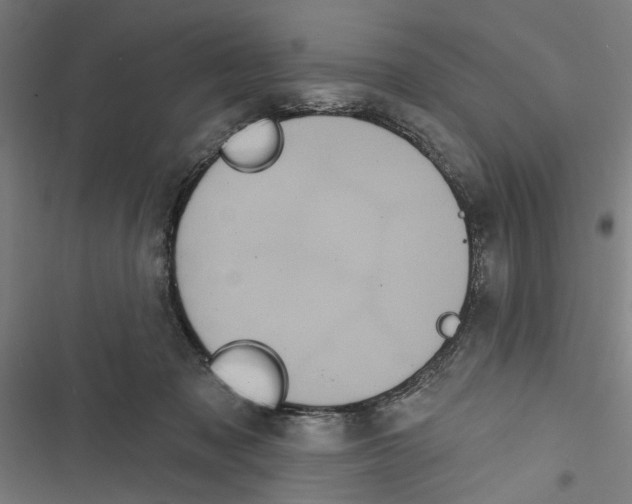 X0000116850317201001191646