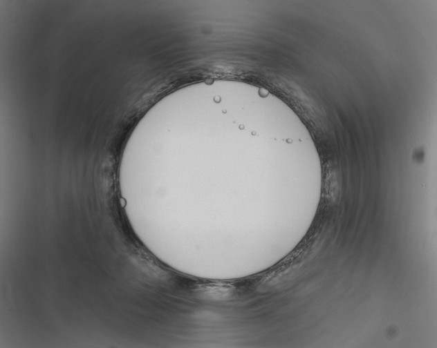 X0000116850318201001191646