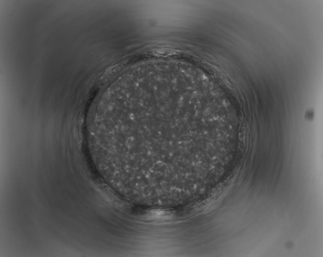 X0000116850319201001191646