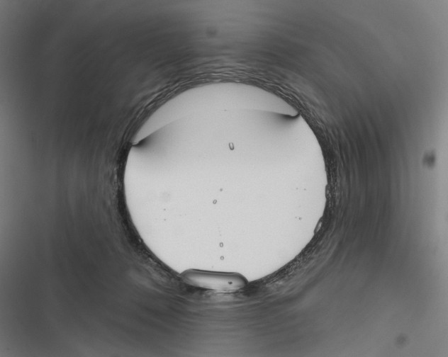 X0000116850320201001191646