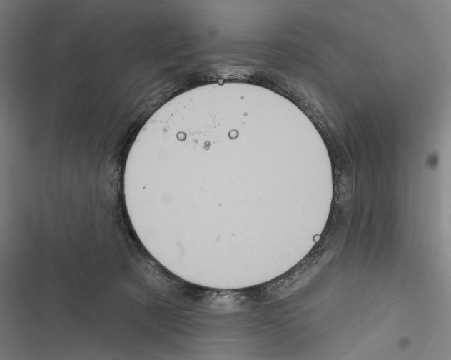 X0000116850321201001191646