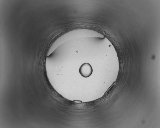X0000116850325201001191646