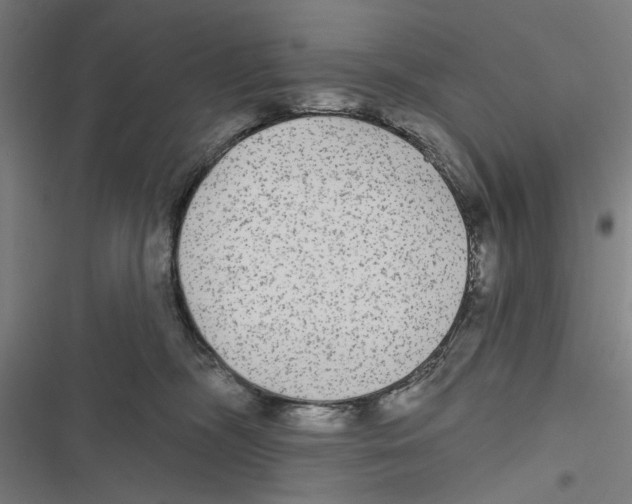X0000116850326201001191646