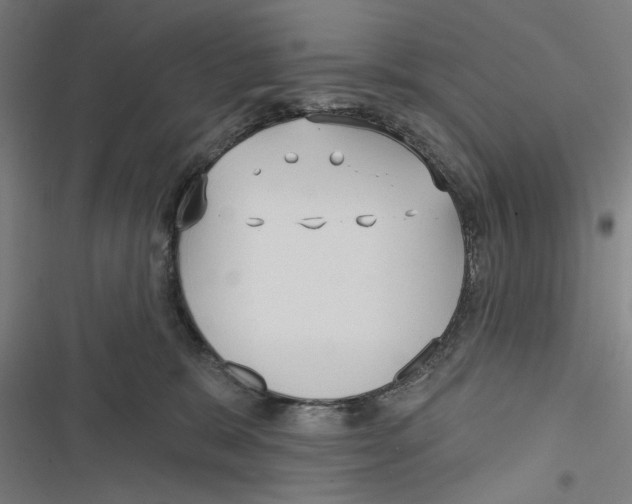 X0000116850327201001191646