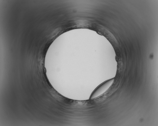X0000116850329201001191646