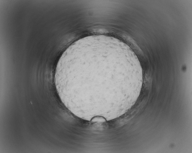 X0000116850330201001191646