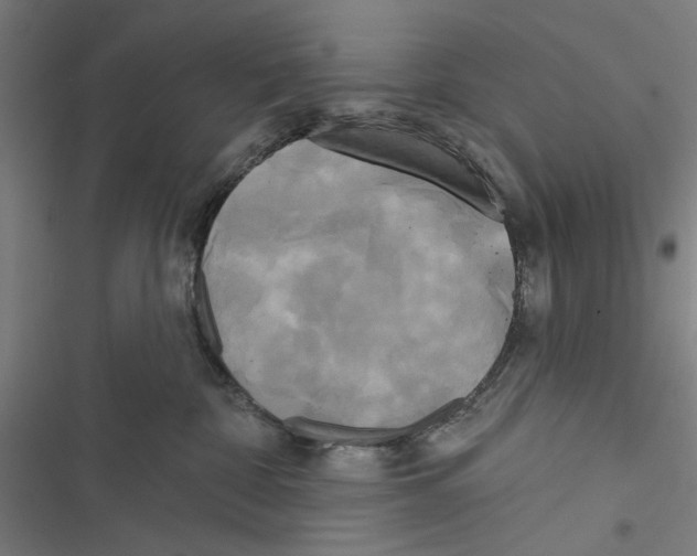 X0000116850332201001191646