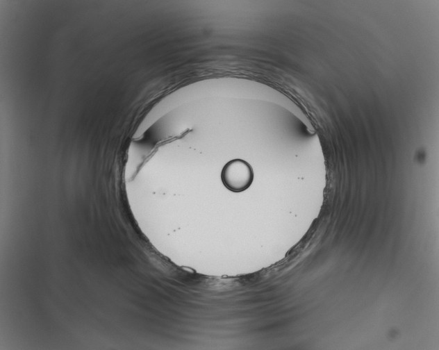 X0000116850333201001191645