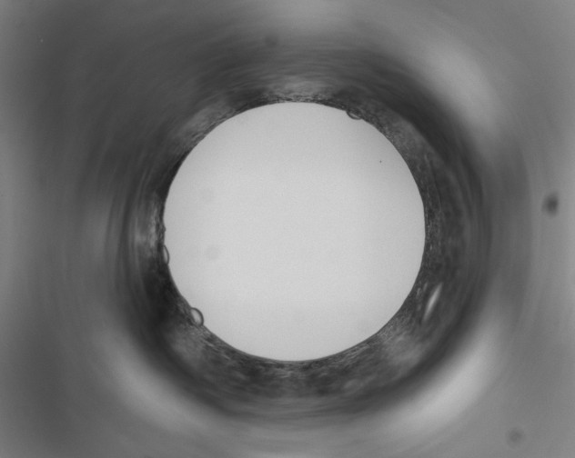 X0000116850334201001191645