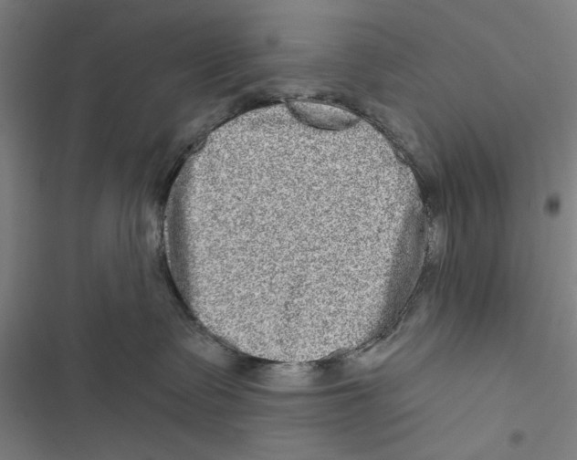X0000116850335201001191645