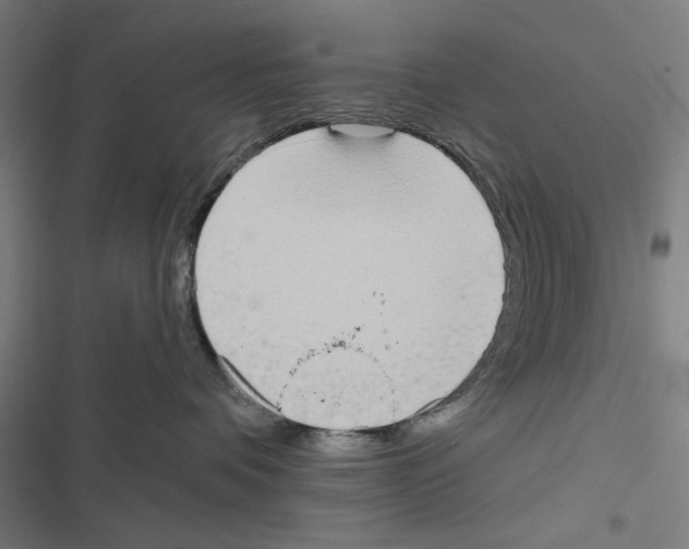X0000116850336201001191645