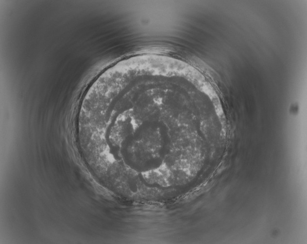 X0000116850337201001191645