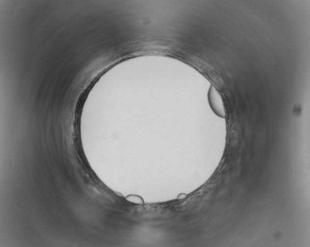 X0000116850338201001191645