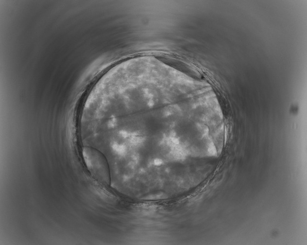 X0000116850339201001191645