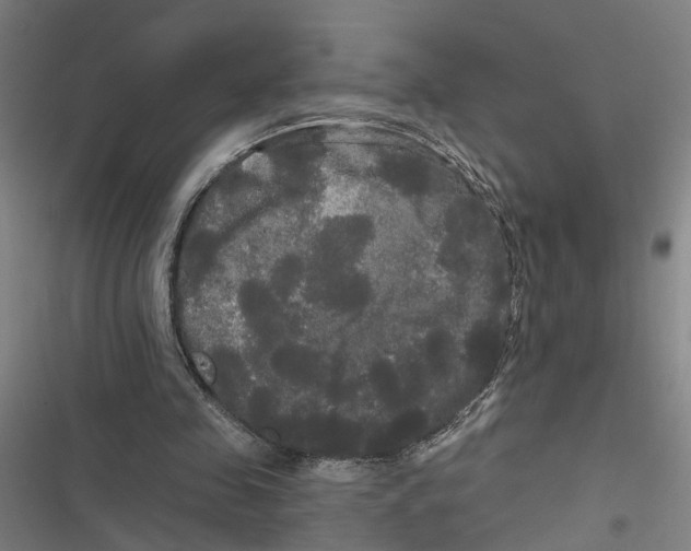 X0000116850341201001191645