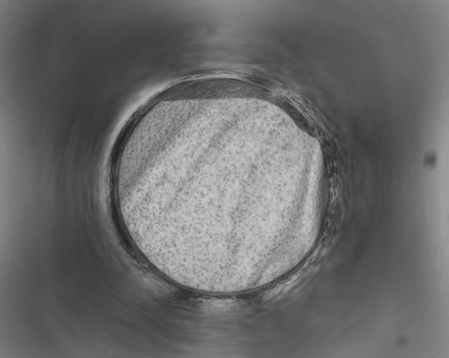 X0000116850342201001191645