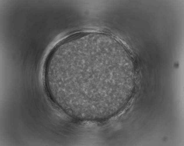 X0000116850343201001191645