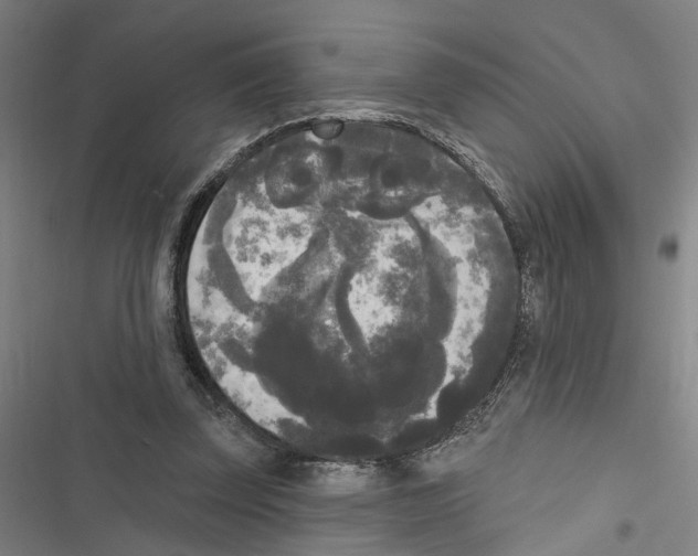 X0000116850347201001191645