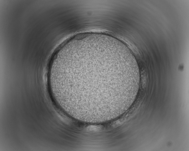 X0000116850350201001191645