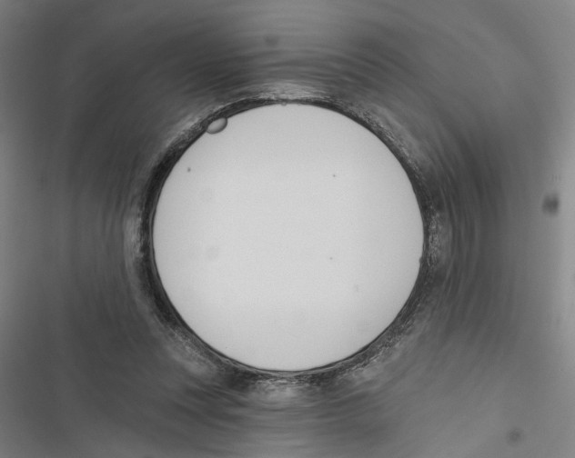 X0000116850351201001191645