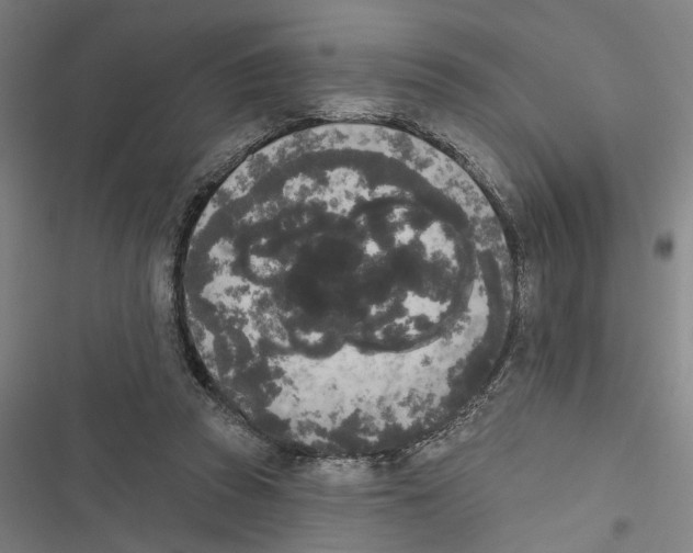 X0000116850353201001191645