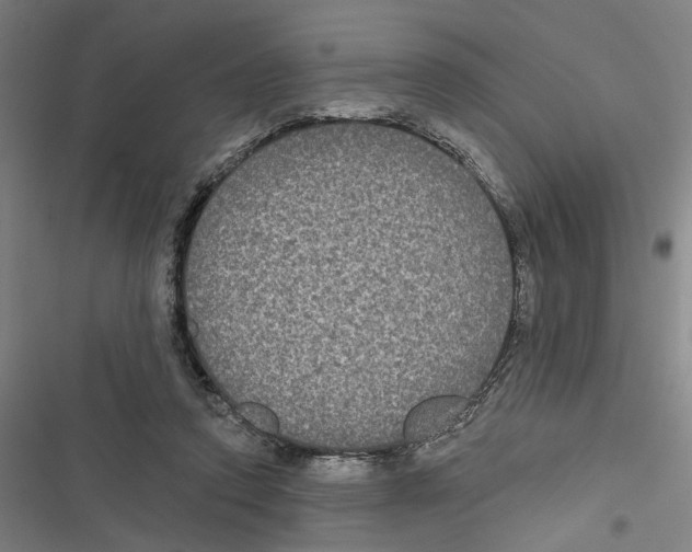 X0000116850354201001191645
