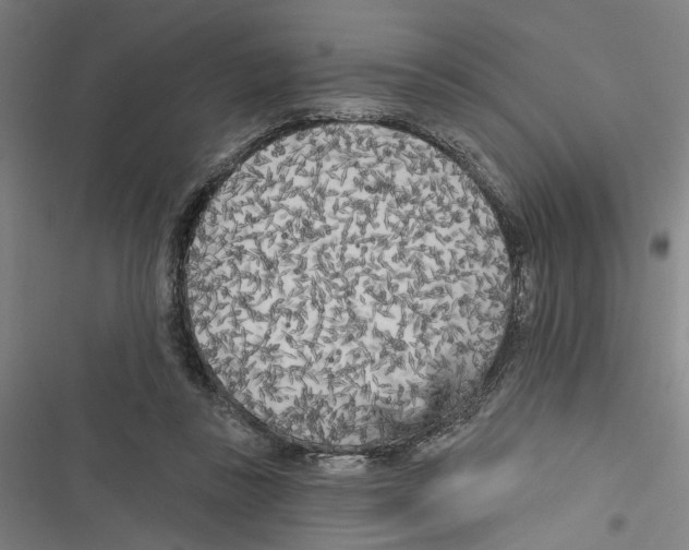 X0000116850355201001191645