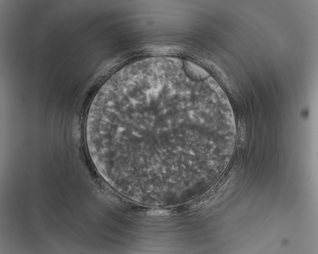 X0000116850357201001191645