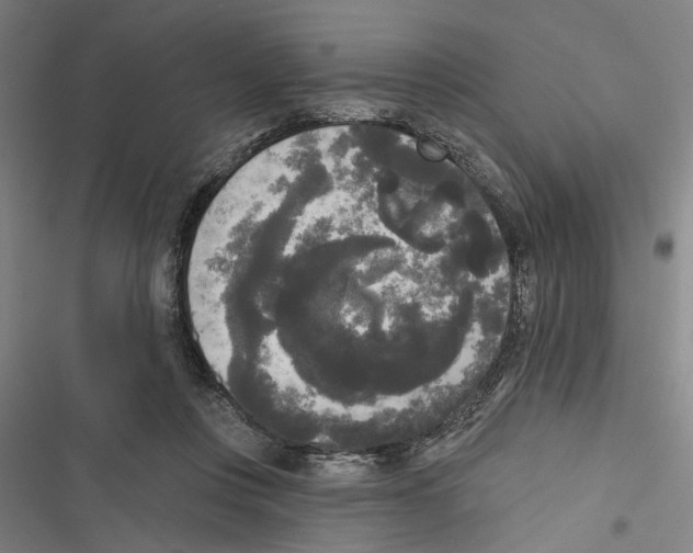 X0000116850359201001191645