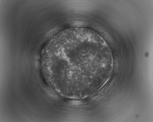 X0000116850361201001191645