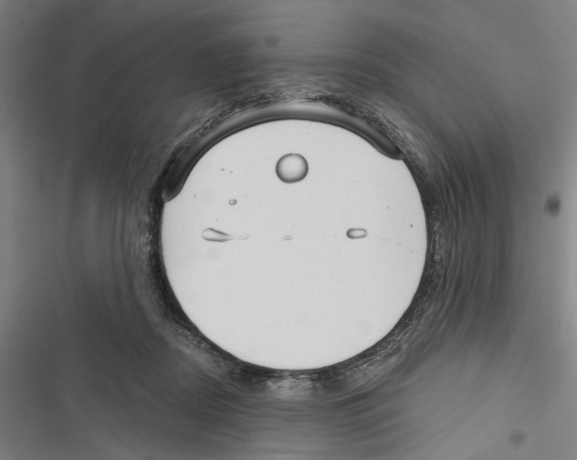X0000116850362201001191645