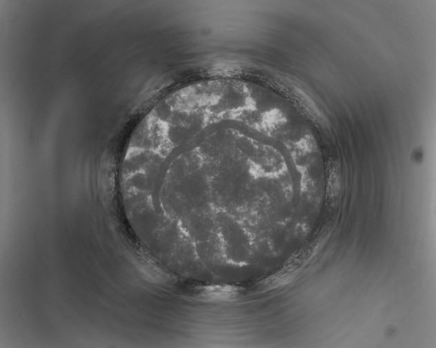 X0000116850363201001191645