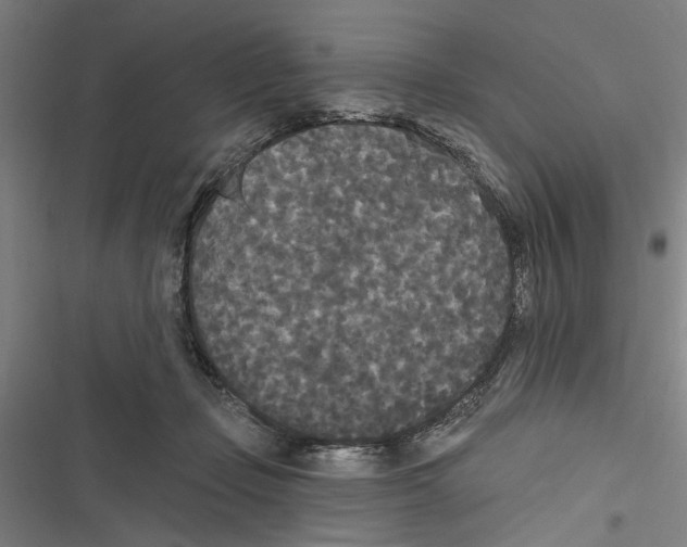 X0000116850365201001191645