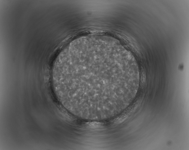 X0000116850367201001191645
