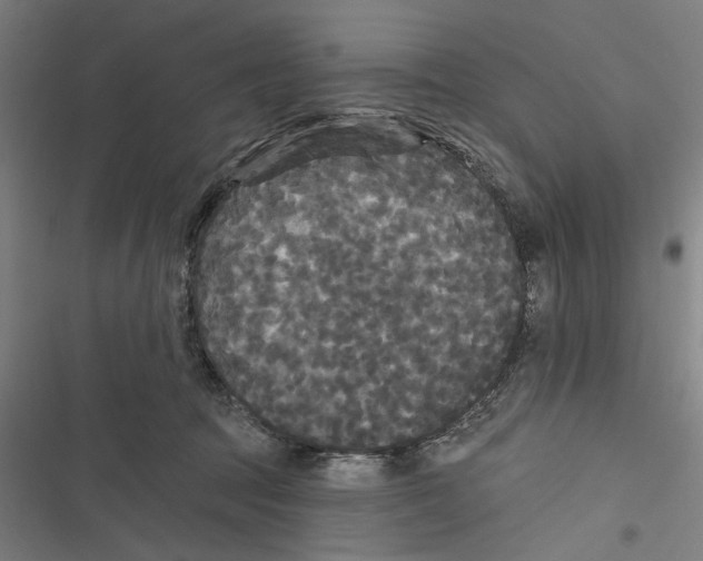 X0000116850369201001191645