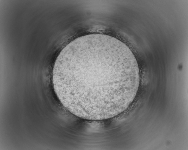 X0000116850370201001191645