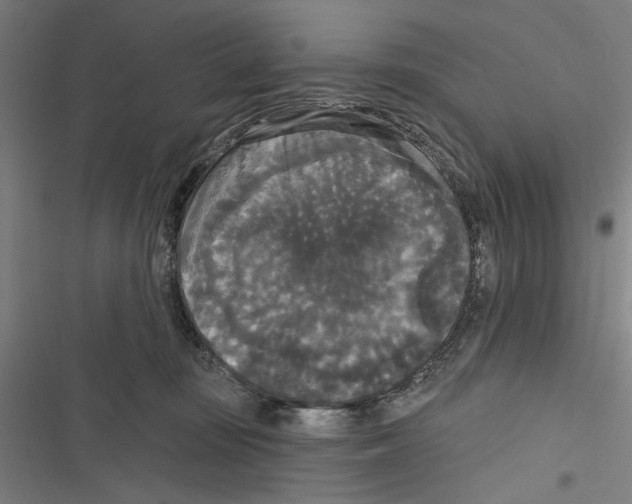 X0000116850371201001191645