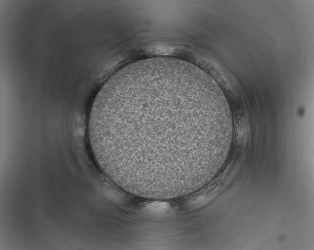 X0000116850374201001191645