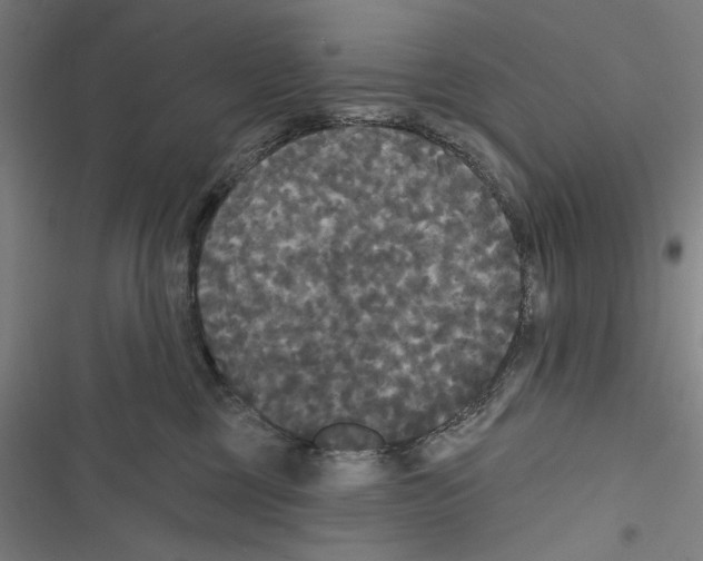 X0000116850377201001191645