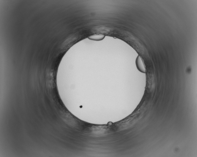 X0000116850378201001191645
