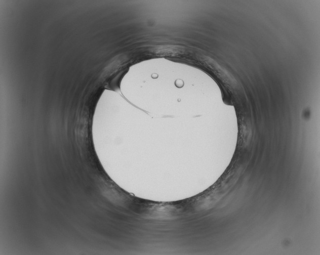 X0000116850379201001191645